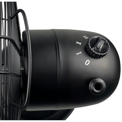 12-Inch Metal Desk Fan with Oscillation & 3-Speed Settings - Matte Black