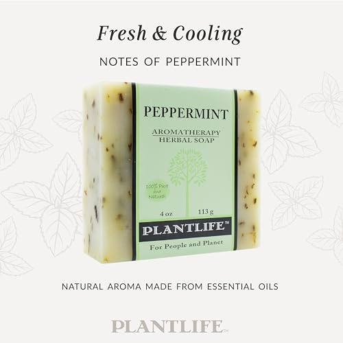 Plant Guru Hazelnut Oil 4 fl. oz. Cold Pressed 100% Pure Natural Carrier - Skin, Face, Body And Hair Growth Moisturizer. Great For DYI Cream, Lotions and Lip balm.