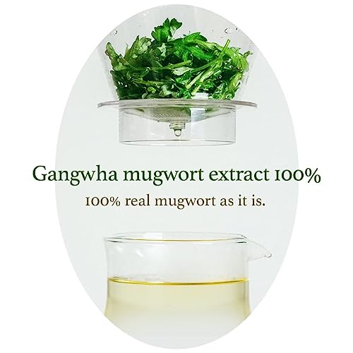 [I'm From] Miniatures of Rice Toner, Mugwort Essence, Fig Boosting Essence (Mugwort), Stocking Stuffers, Gifts for Women