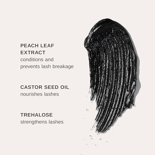 Black Mascara Jet Black 0.35 oz - Lengthening, Smudge-Proof Lash Volumizing