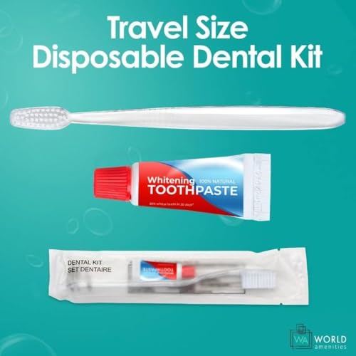 Disposable Dental Kit Bundle - 48 Count Travel Size Toothbrush & Toothpaste - Clear Frosted Sachet