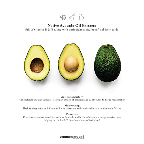 COMMON GROUND 3 Hand Wash & 1 Shampoo & Conditioner Bundle (5 Items), Paraben & Cruelty Free, Organic, Vegan, Plant-Based, Botanical Scent & Avocado Oil Extracts, Men, Women, Sensitive