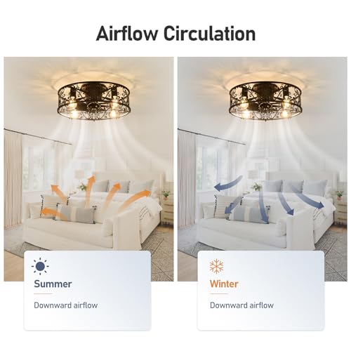 20-Inch Caged Ceiling Fan with Lights and Remote - Black, Flush Mount