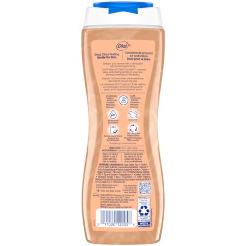 Dial Body Wash Pack of 4 - Silk & Seaberry Hydrating Shower Gel, 21 fl oz