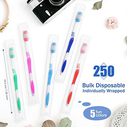 250 Pack Soft Bristle Travel Toothbrushes - Individually Wrapped Multi-Color Set (Honeydak)