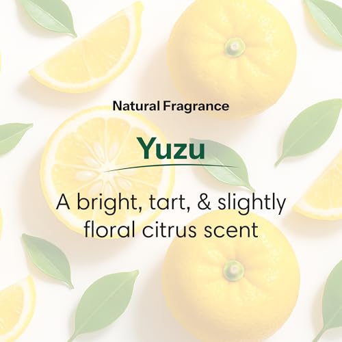 ShiKai Daily Moisturizing Shower Gel - Yuzu 12oz Pack of 3 - Aloe Vera & Oatmeal for Dry Skin Relief