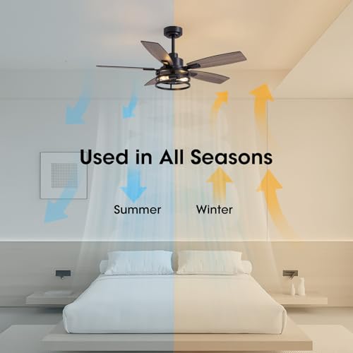 LuminFan Black 46-Inch Ceiling Fan with Lights & Remote Control for Indoor & Outdoor