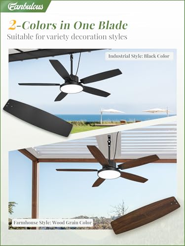 Fanbulous 52" Outdoor Ceiling Fan with Light, Remote, Waterproof IP65, Black