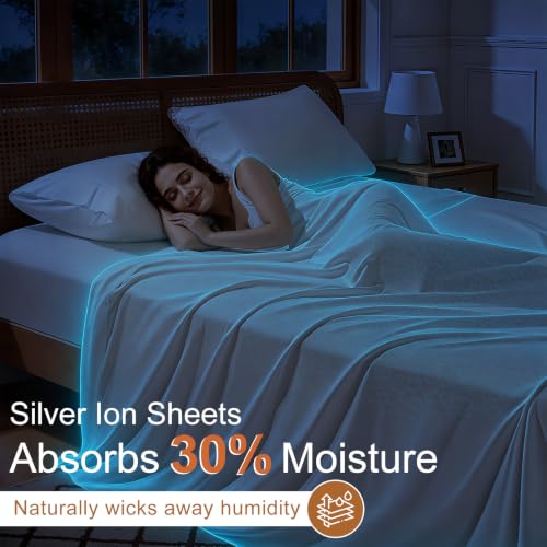 SONORO KATE Silver Infused Queen Bed Sheets - 600 Thread Count Cotton, White