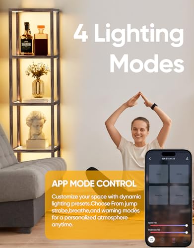 PARTPHONER Glass Display Shelf Floor Lamp with Remote & App Control - Dimmable LED Oak Gray