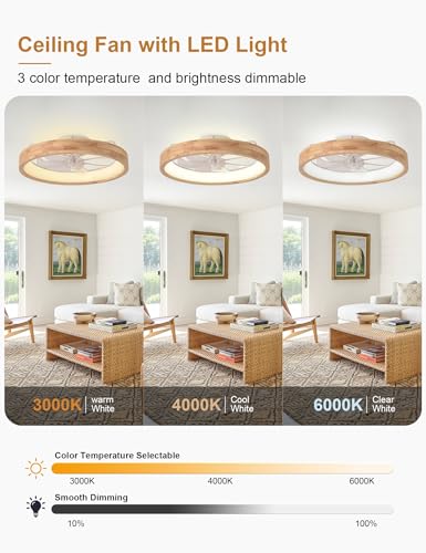 Curve Curio 20-Inch Modern Low Profile Wood Ceiling Fan with Light & Remote