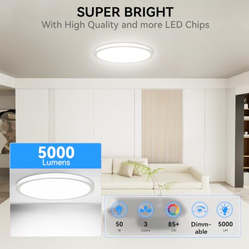 White 20-Inch Dimmable LED Flush Mount Ceiling Light with 5 Color Temperatures - 2 Pack