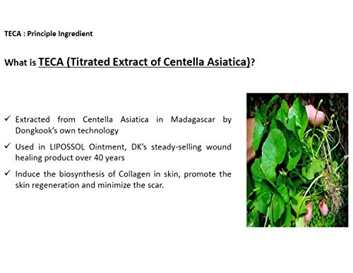 Centellian 24 Micro Serum with TECA Tech - Skin Rejuvenation 50ml