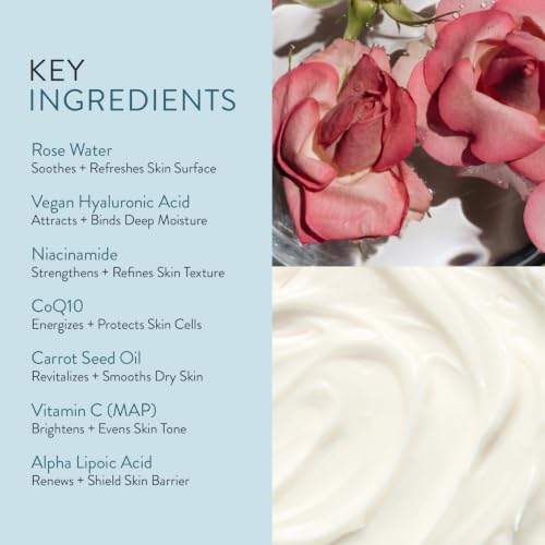 Hydrating Face Lotion with Rose Water & Hyaluronic Acid - 1 oz