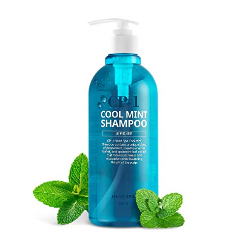 Cool Mint Shampoo for Dry Hair with Menthol - Scalp Relief & Refreshment, 16.9 fl oz