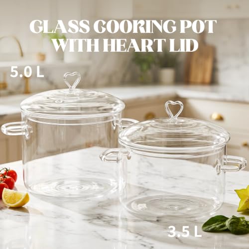 ZUFRIEDENIA 5.0L Glass Cooking Pot with Lid | Heat-Resistant, Transparent Kitchenware