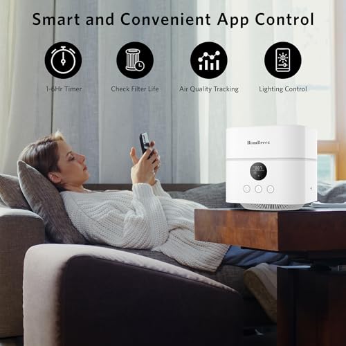 HomBreez 3-in-1 Air Purifier Humidifier Combo - Standard