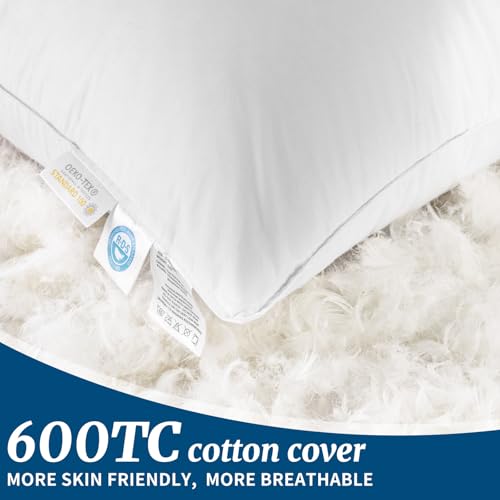 AiAngu Canadian Luxury Goose Down Pillow King Size 1050 Fill Power White