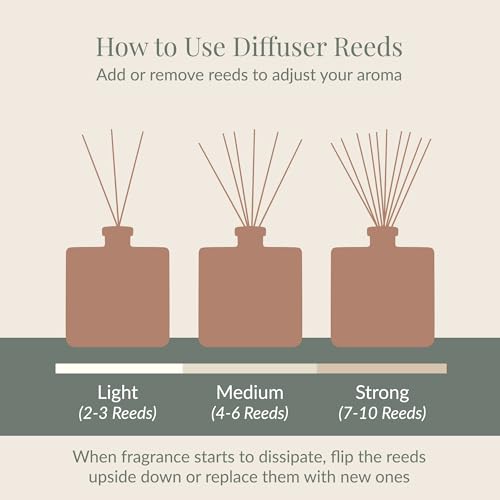Archipelago Botanicals Kashmir Reed Diffuser 7.6 fl oz - Home Fragrance & Decor