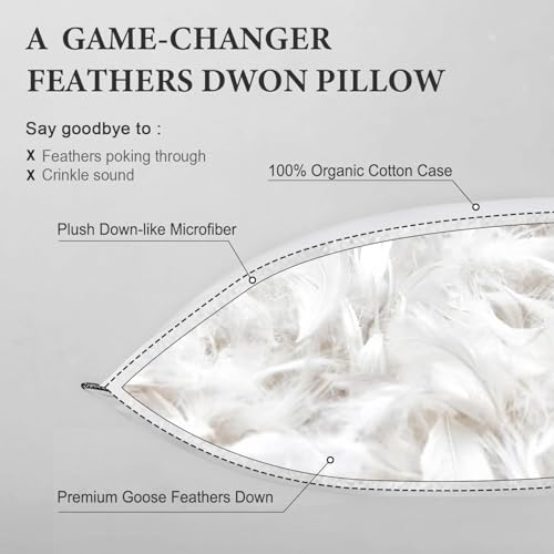 DWR Goose Feather Down Body Pillow - Organic Cotton Cover, Medium, 20x54 - Body Pillow Only