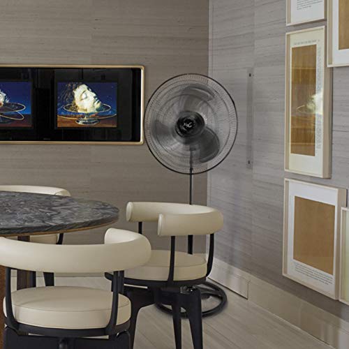 Vie Air 18-Inch Industrial Heavy Duty Pedestal Oscillating Metal Fan, Black - Variation: 18 Inch Pedestal
