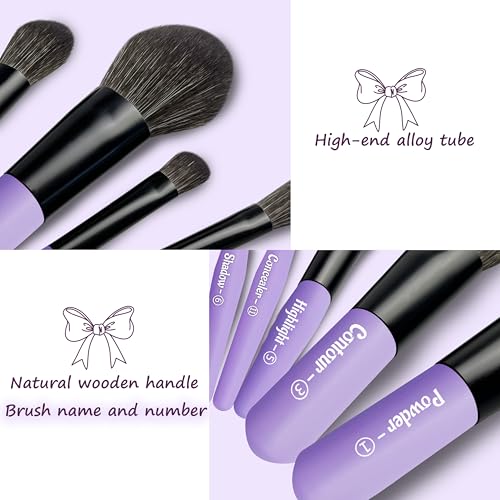 Jilier 14 pcs Mini Makeup Brushes and Pocket Mirror, Travel Makeup Brush Set, LED Compact Mirror with Light, Travel Size with Case, Portable for Handbag, Travel Essentials for Women