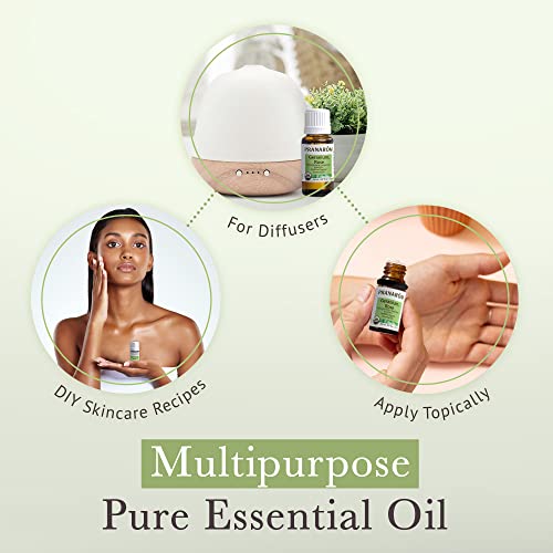 Pranarom Organic Rose Geranium Essential Oil 15ml (0.5 Fl Oz) for Aromatherapy & Skincare