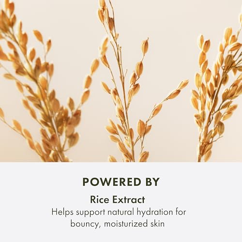 Lifting & Firming Peptide Moisturizer - Anti-Aging Face Cream with Rice Extract - Variation of THIS Listing