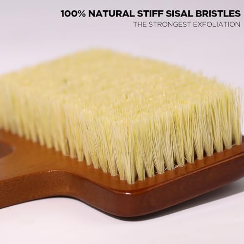 ICANdOIT Stiff Sisal Back Scrubber Shower Brush with Face Exfoliator - Firm Bristles