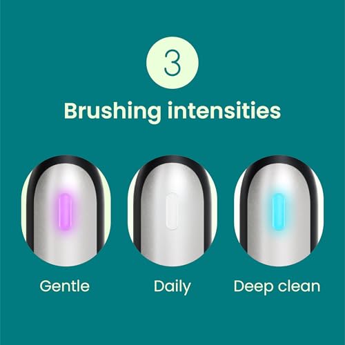 Quip Rev Oscillating Electric Toothbrush with Mirror Mount - Blue Stone