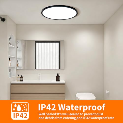Black 12-Inch LED Flush Mount Ceiling Light - 24W Dimmable, 5 CCT Options, Slim Profile for Bedroom Kitchen Hallway