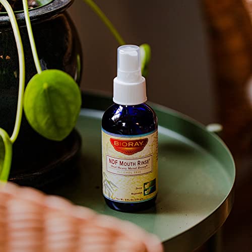 BIORAY NDF Mouth Rinse - Alcohol-Free Oral Detox & Detoxification, 4 fl oz