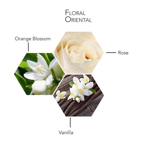 Long Lasting Women’s Eau de Parfum with Orange Blossom Jasmine Amber Vanilla 3.4 Oz