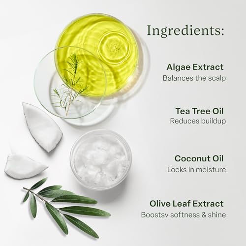 divi Hydrating Conditioner 12 fl oz - For Medium to Thick Hair with Coconut Oil
