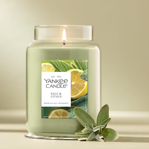 Yankee Candle Sage & Citrus Large Jar Candle Pack of 4 - Up to 150 Hours Burn Time, Giftable Home Fragrance