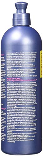 Roux Fanci-Full Silver Lining Hair Rinse - Instant Gray Coverage, 15.2 Fl Oz Pack of 2
