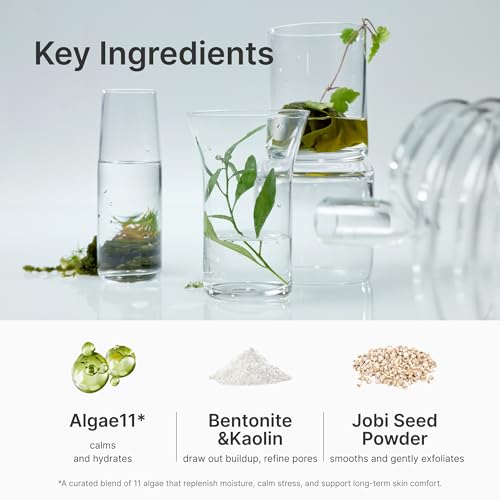 Seaweed Detox Wash Off Mask, Cooling Korean Clay Mask with Bentonite, Kaolin, Glycerin & Seaweed Extracts for Pore Minimizing, Deep Cleansing, Non-Drying Mud Mask, 200ml / 6.76 fl.oz.