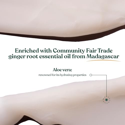 The Body Shop Ginger Scalp Care Conditioner ? For Dry Scalp & Weak Hair ? With Vegan Silk Protein ? 400ml