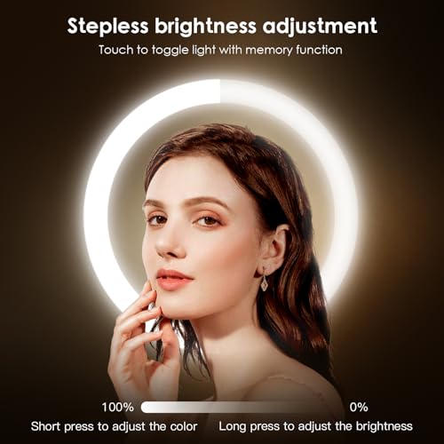 Wall Mounted Lighted Makeup Mirror 1x/10x Magnification Silver