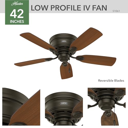 Hunter Low Profile IV Ceiling Fan - Indoor 42 Inch No Light New Bronze