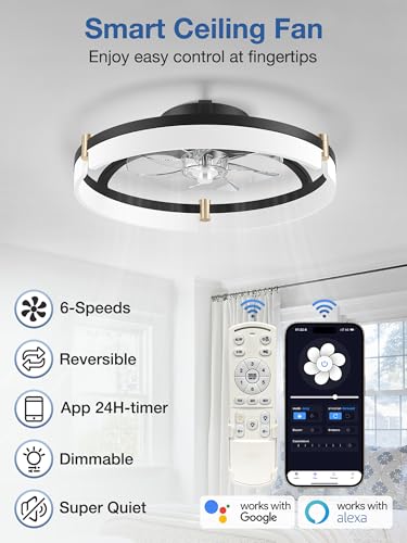 20-Inch Smart Ceiling Fan with Lights, Remote & Alexa Control, Black+Gold, Low Profile Flush Mount