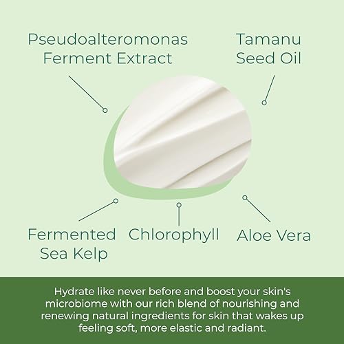 Hydrating Night Face Moisturizer with Sea Kelp & Tamanu Oil - Anti-Aging Skin Care for Women & Men - 1 Oz