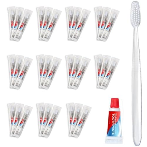 Disposable Dental Kit Bundle - 48 Count Travel Size Toothbrush & Toothpaste - Clear Frosted Sachet
