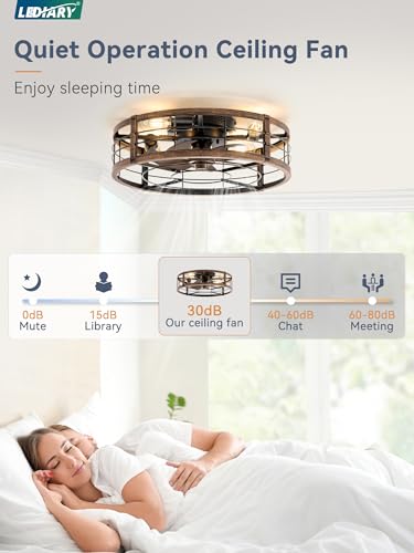 LEDIARY 20-Inch Caged Low Profile Ceiling Fan with Light & Remote - Black & Gold