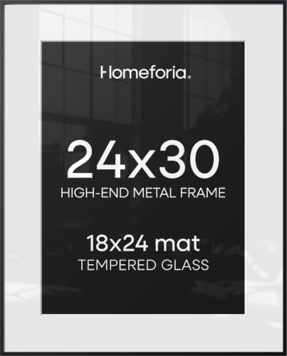 Carbon Black Homeforia 24x30 Metal Picture Frame with 18x24 Matte Mat and Glass
