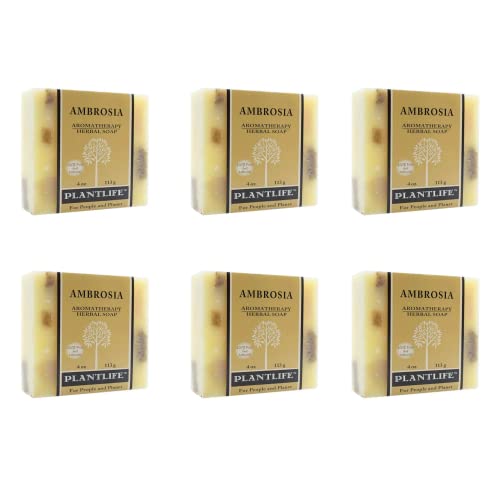 Ambrosia Natural Vegan Bar Soap 6-Pack - Handcrafted 4 oz