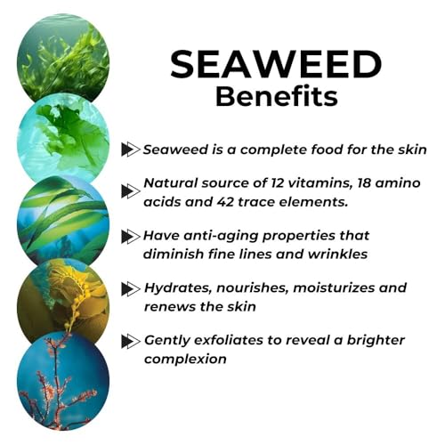 Repechage Sea Cleanse Foaming Seaweed Cleanser ? Hydrating Soap-Free Daily Facial Cleanser for All Skin Types with Seaweeds, AHAs, Soy Protein & Vitamin C ? Gently Exfoliating Face Wash ? 5 fl oz
