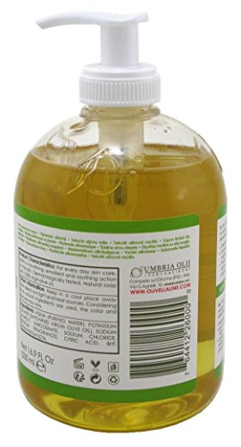 Olive Oil Liquid Soap 16.9oz Pack - Gentle, Nourishing Hand & Body Wash