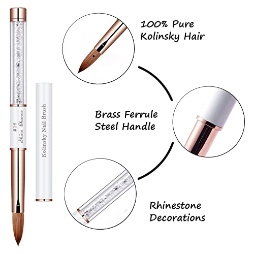 2Pcs Acrylic Nail Art Brush Size 10, 100% Pure Kolinsky Hair Oval Nail Brush for Acrylic Application, Professional Nail Extension Manicure Tool Striping Nail Drawing Pen for Home Salon