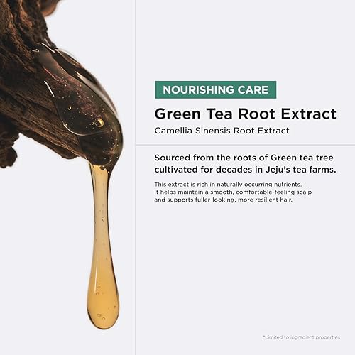 Green Tea Active Shampoo - Anti-Aging & Volumizing for Fine Thinning Hair - 16.9 fl oz